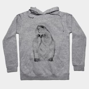 Black Tailed Prairie Dog Hoodie